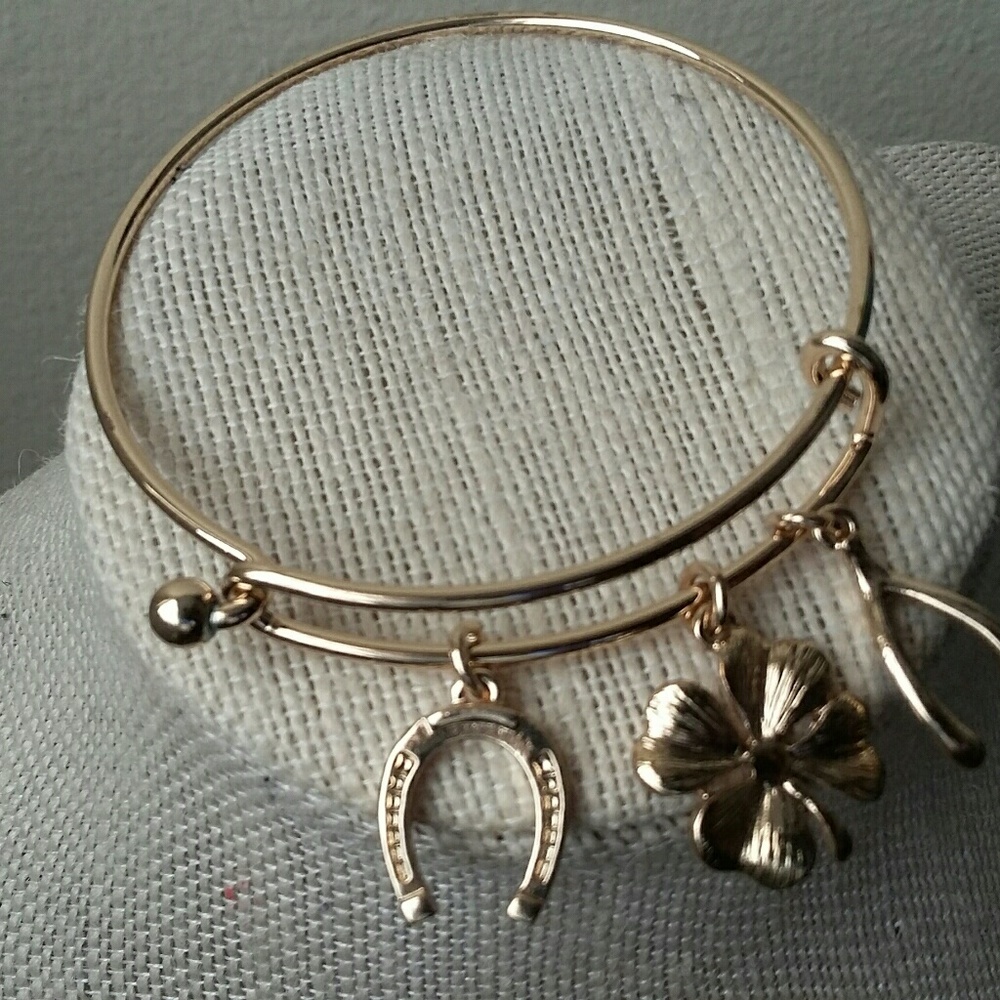 Accessorie - Picture 2 of 4